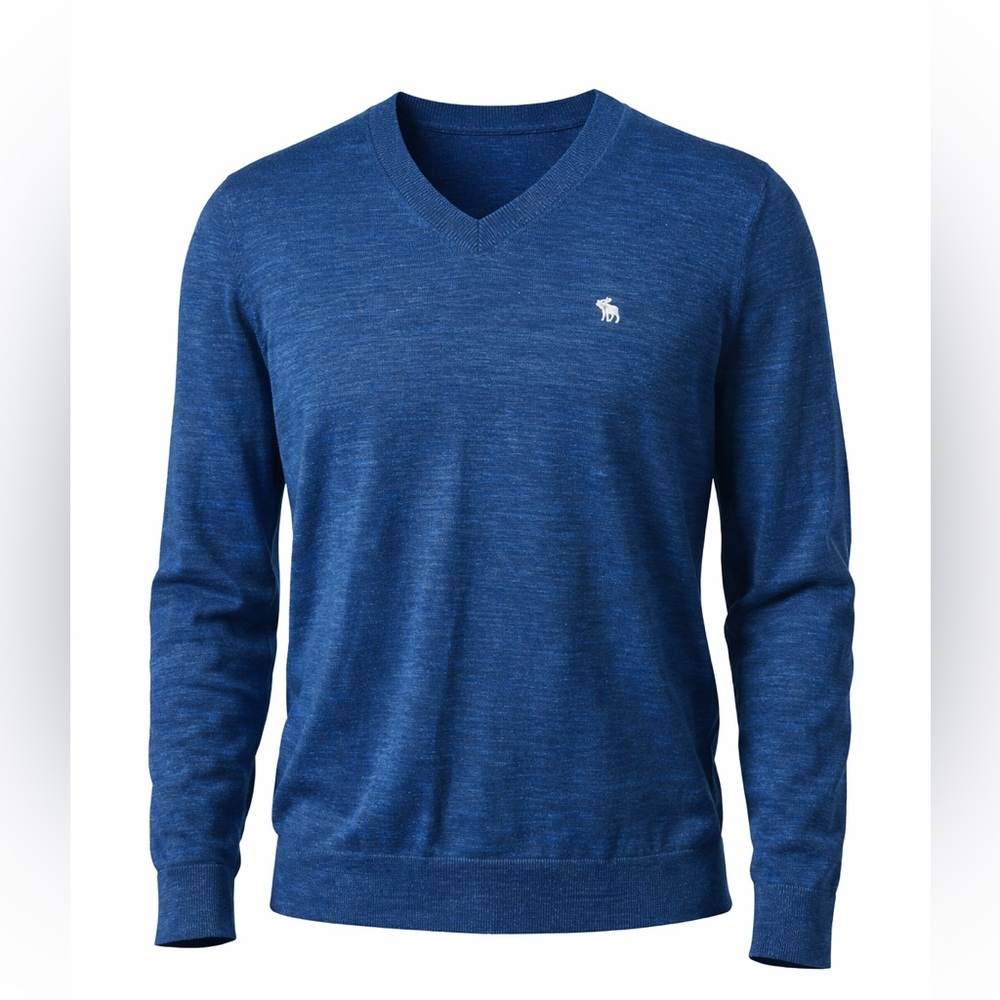 Abercrombie & Fitch V-Neck Pima Cotton Sweater Blue Lightweight Pullover Logo L